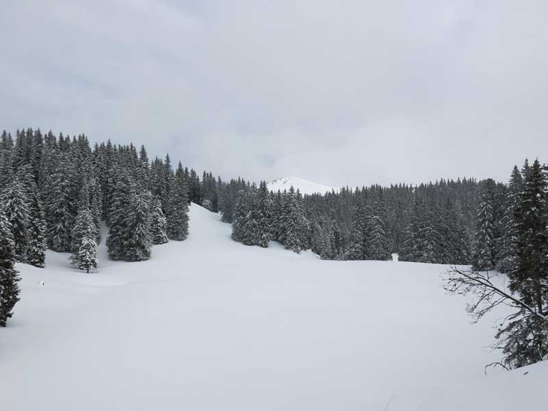 Spielkogel